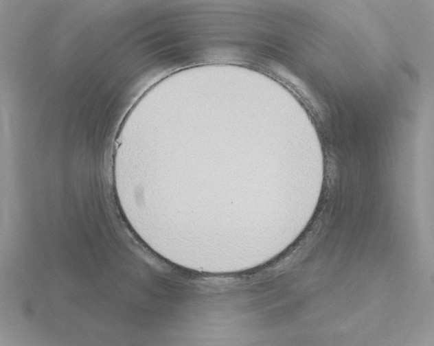 X0000115421236200912151556