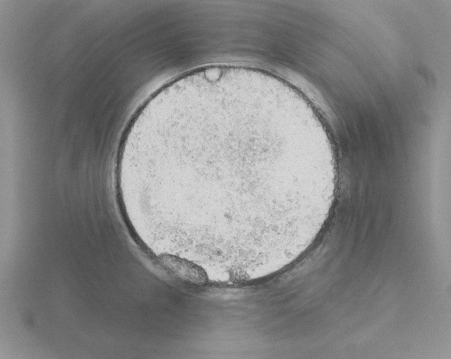 X0000115421237200912151556