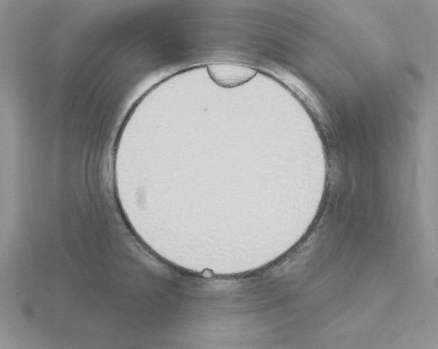 X0000115421238200912151556