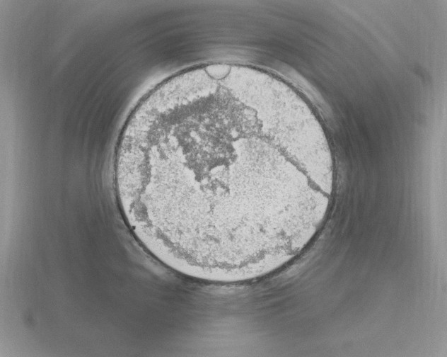 X0000115421240200912151556