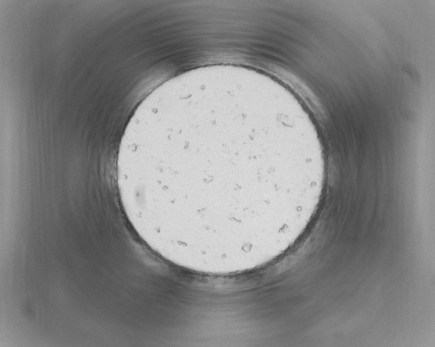 X0000115421241200912151556