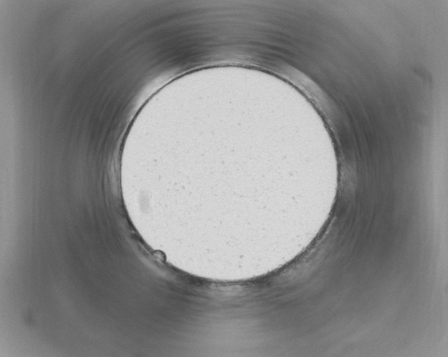 X0000115421242200912151556