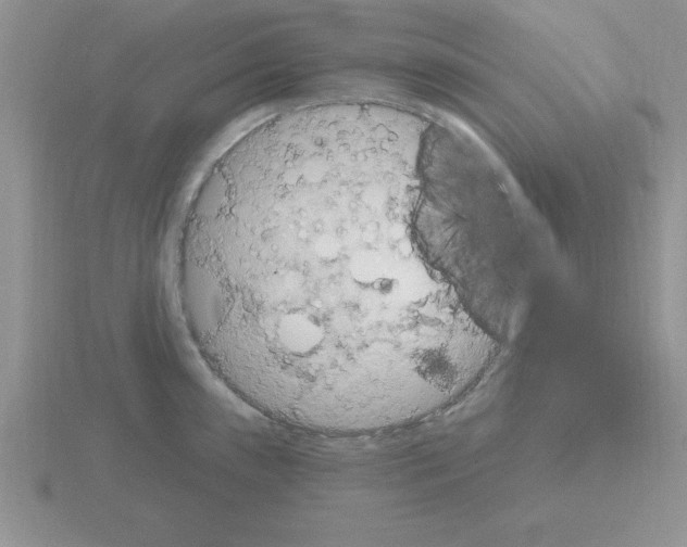 X0000115421243200912151556