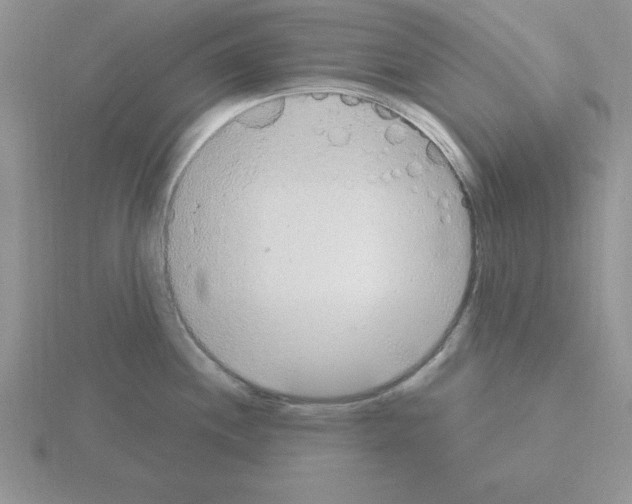 X0000115421244200912151556