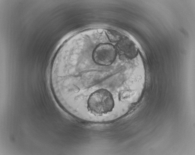 X0000115421245200912151556