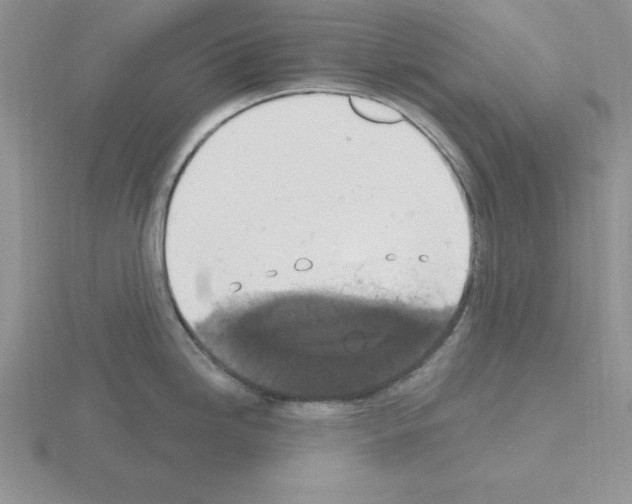 X0000115421246200912151556