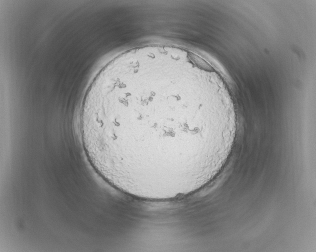 X0000115421247200912151556