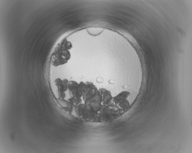 X0000115421248200912151556