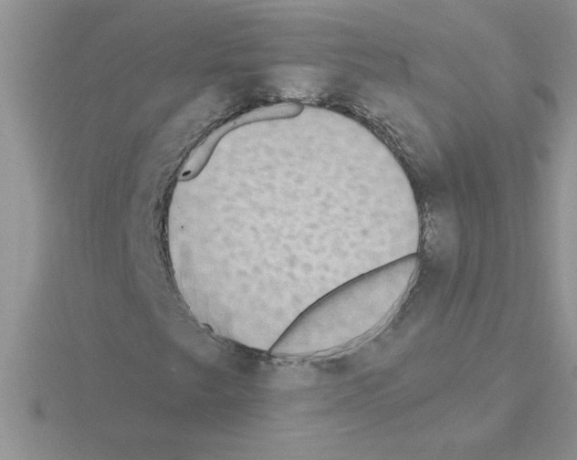 X0000115421249200912151556