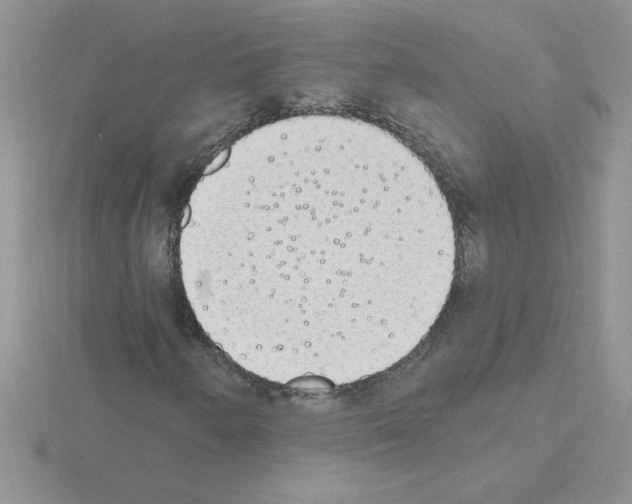 X0000115421250200912151556