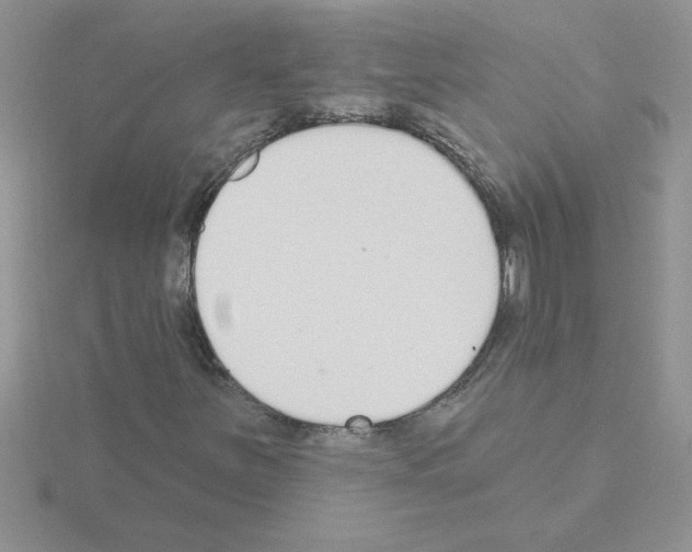 X0000115421251200912151556