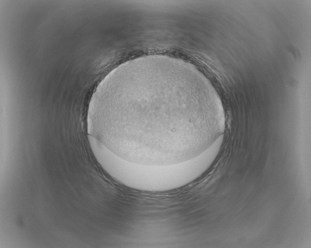 X0000115421252200912151556