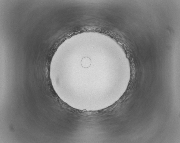 X0000115421253200912151556