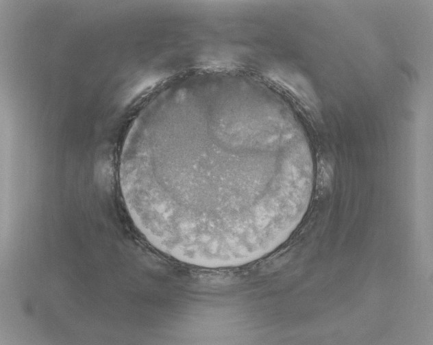 X0000115421254200912151556