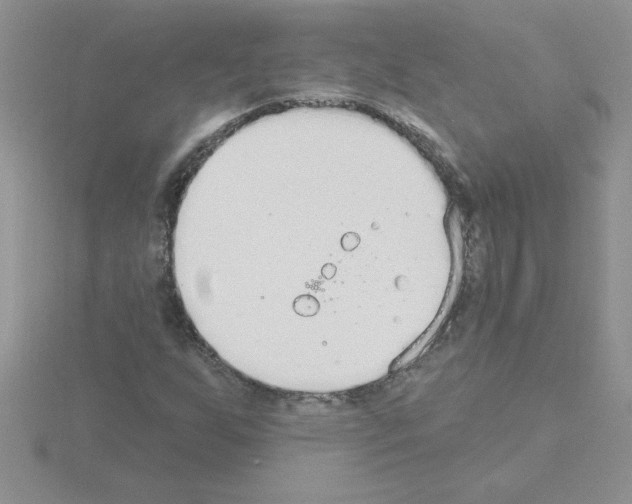 X0000115421255200912151556