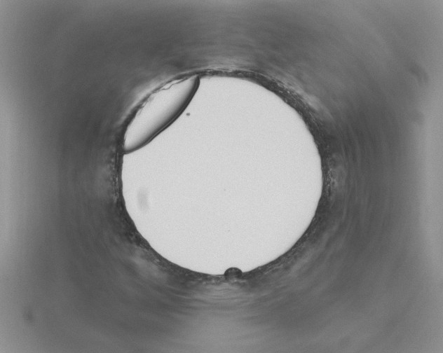 X0000115421256200912151555