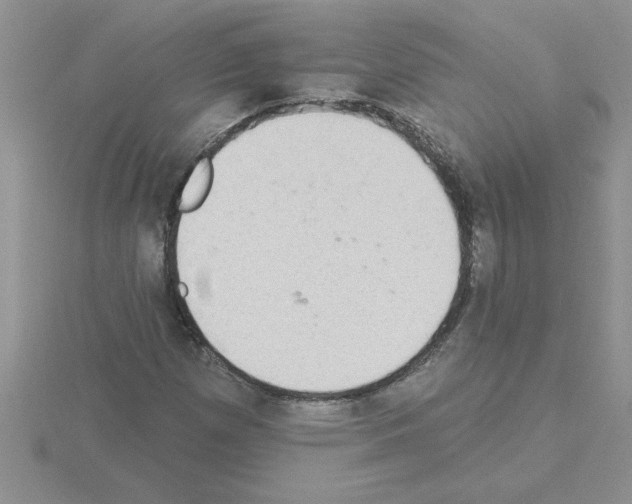 X0000115421257200912151555