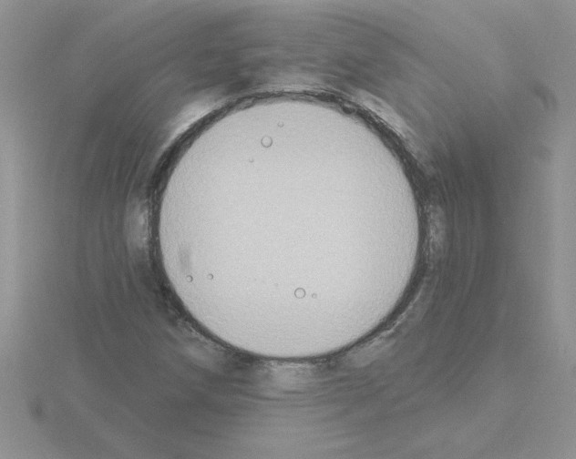 X0000115421258200912151555