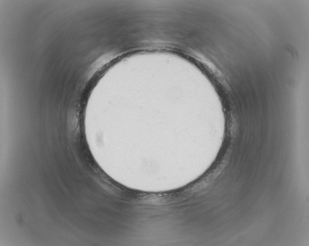 X0000115421259200912151555