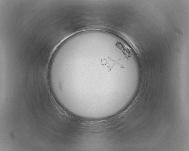 X0000115421260200912151555