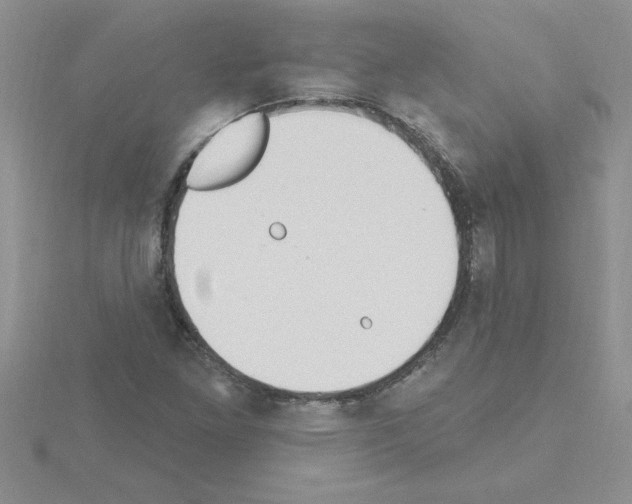 X0000115421261200912151555