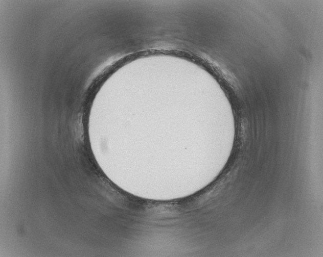 X0000115421262200912151555