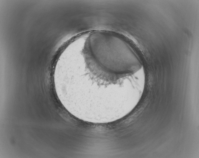 X0000115421263200912151555