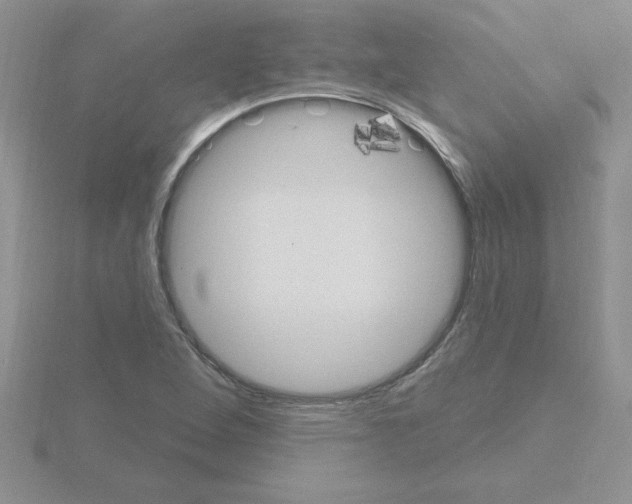 X0000115421264200912151555