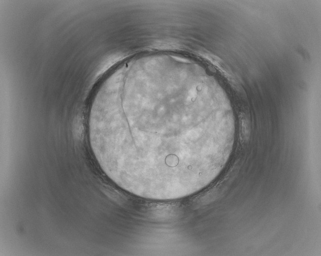 X0000115421266200912151555