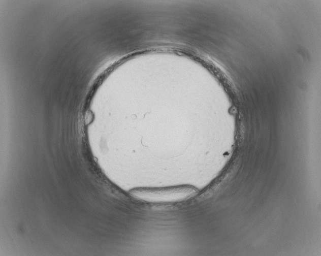 X0000115421267200912151555