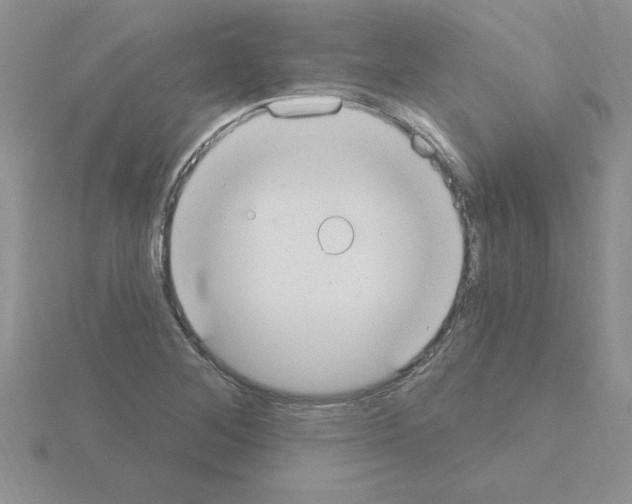 X0000115421268200912151555