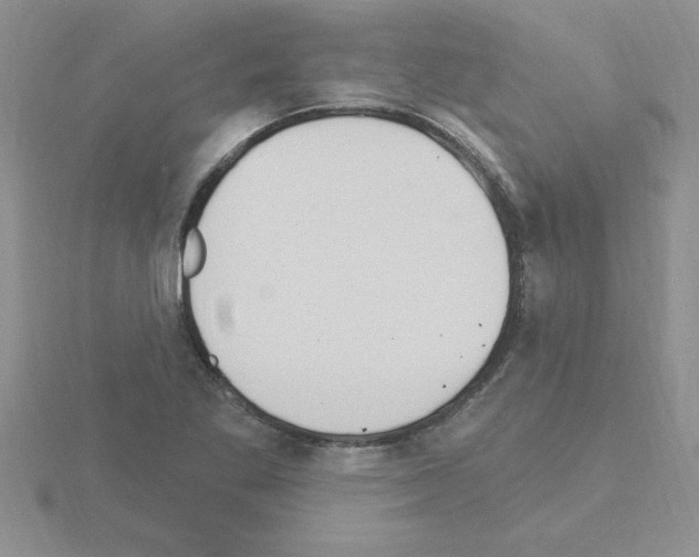 X0000115421269200912151555