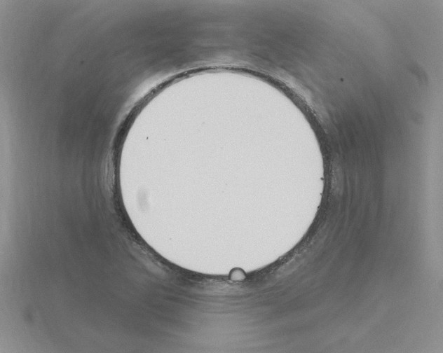 X0000115421270200912151555