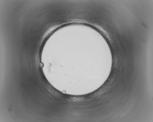 X0000115421271200912151555