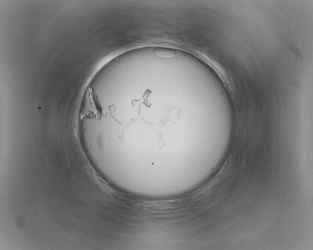 X0000115421272200912151555