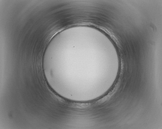 X0000115421273200912151555