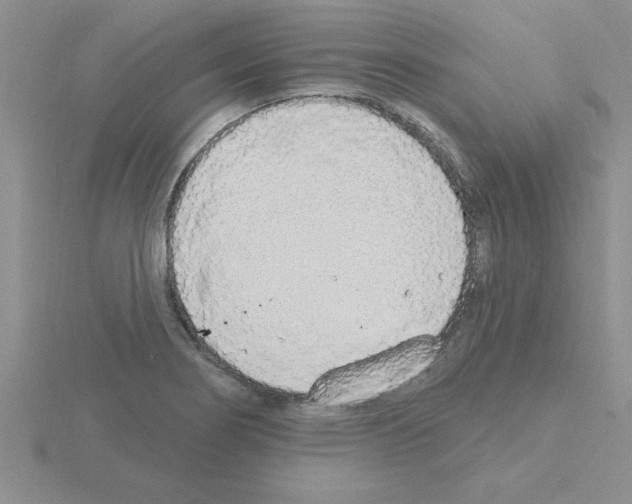 X0000115421274200912151555