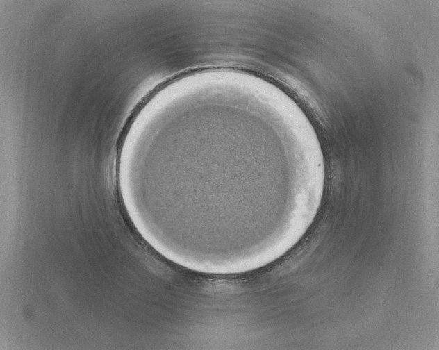 X0000115421275200912151555