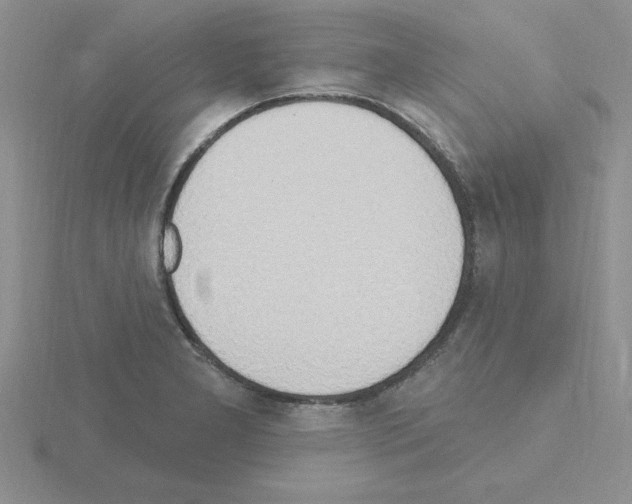 X0000115421277200912151555