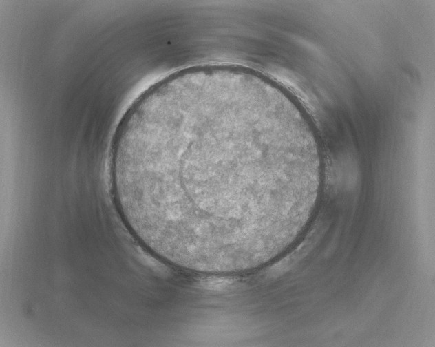 X0000115421278200912151555