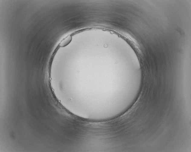 X0000115421280200912151555