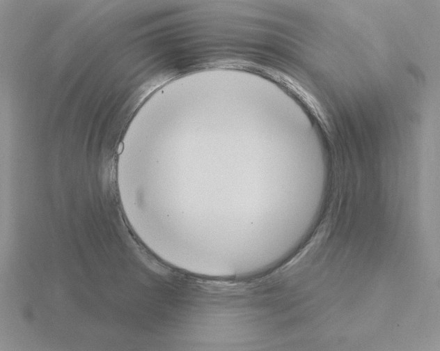 X0000115421281200912151555