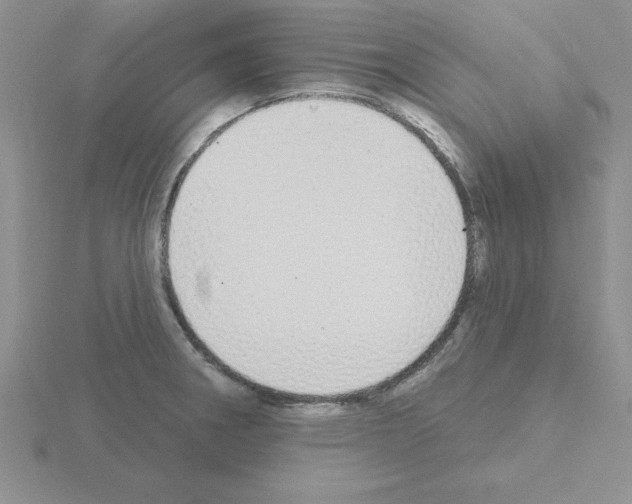 X0000115421282200912151555