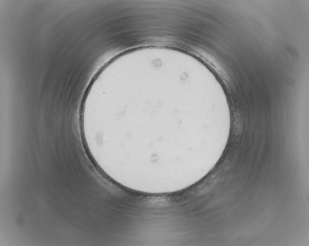 X0000115421283200912151555