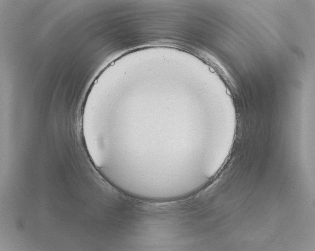 X0000115421284200912151555