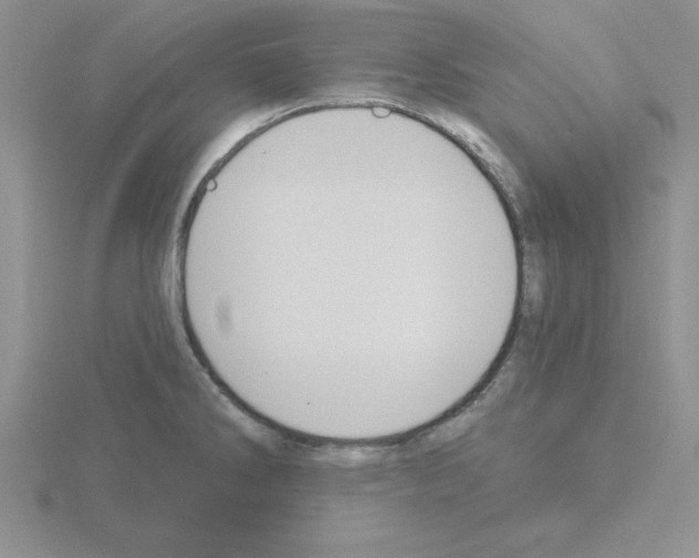 X0000115421286200912151555