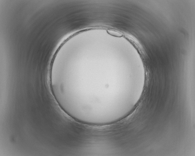 X0000115421288200912151555