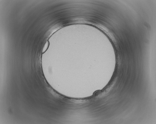 X0000115421289200912151555