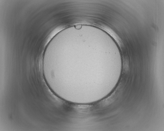 X0000115421290200912151555