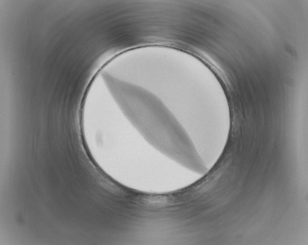 X0000115421291200912151555